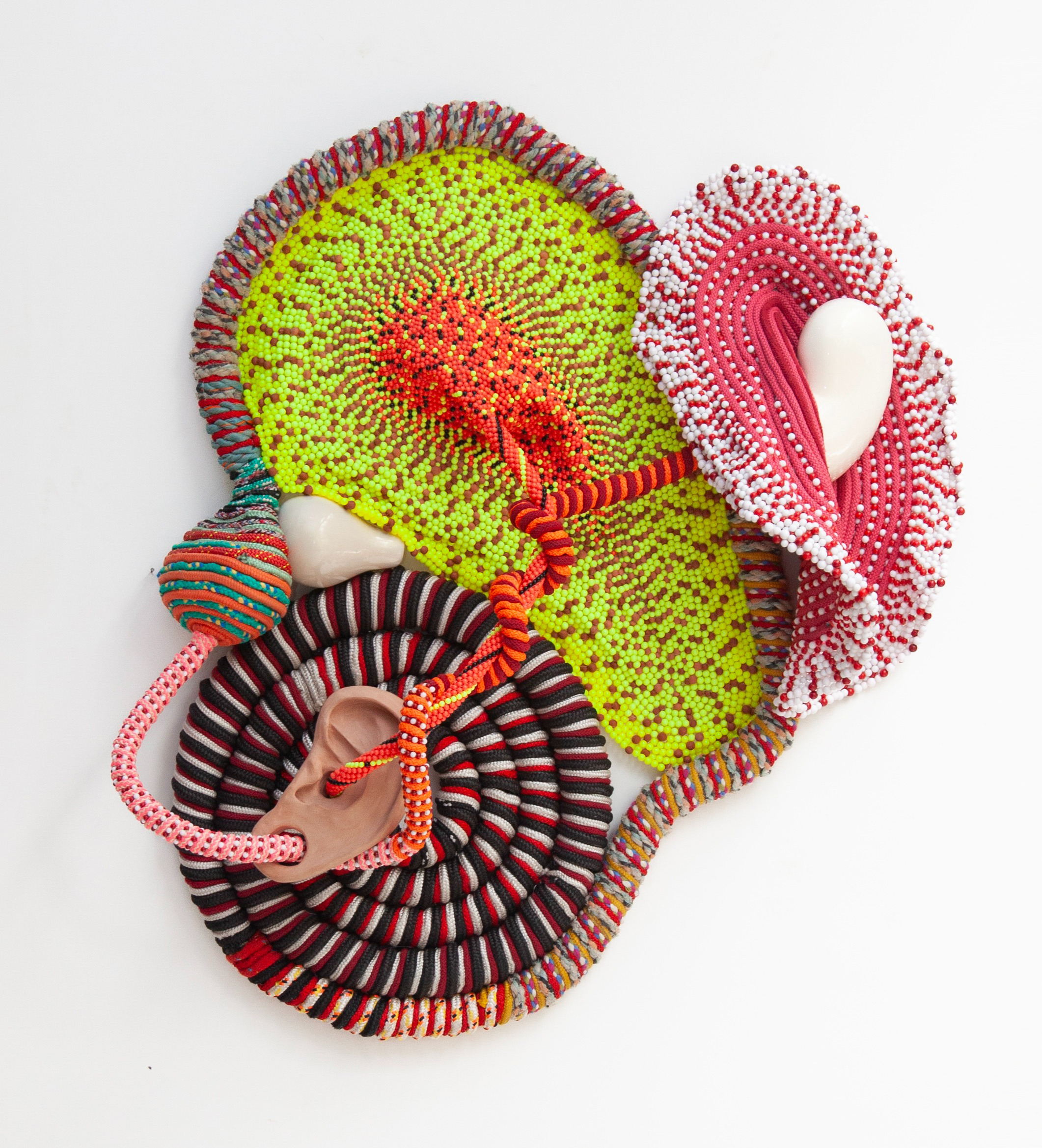 Orelha espiral (Spiral ear)