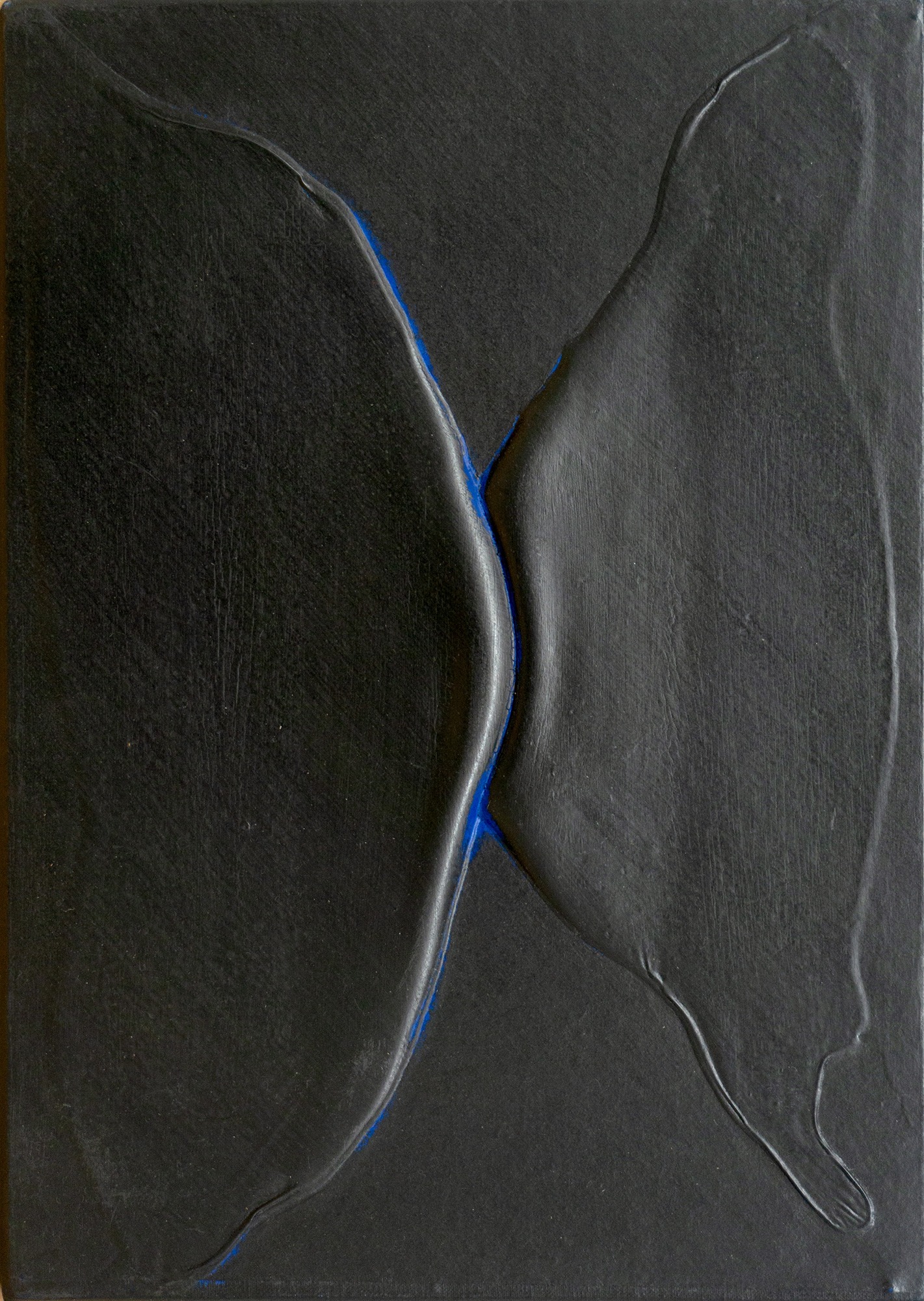 <i>CHYOCHYO</i>