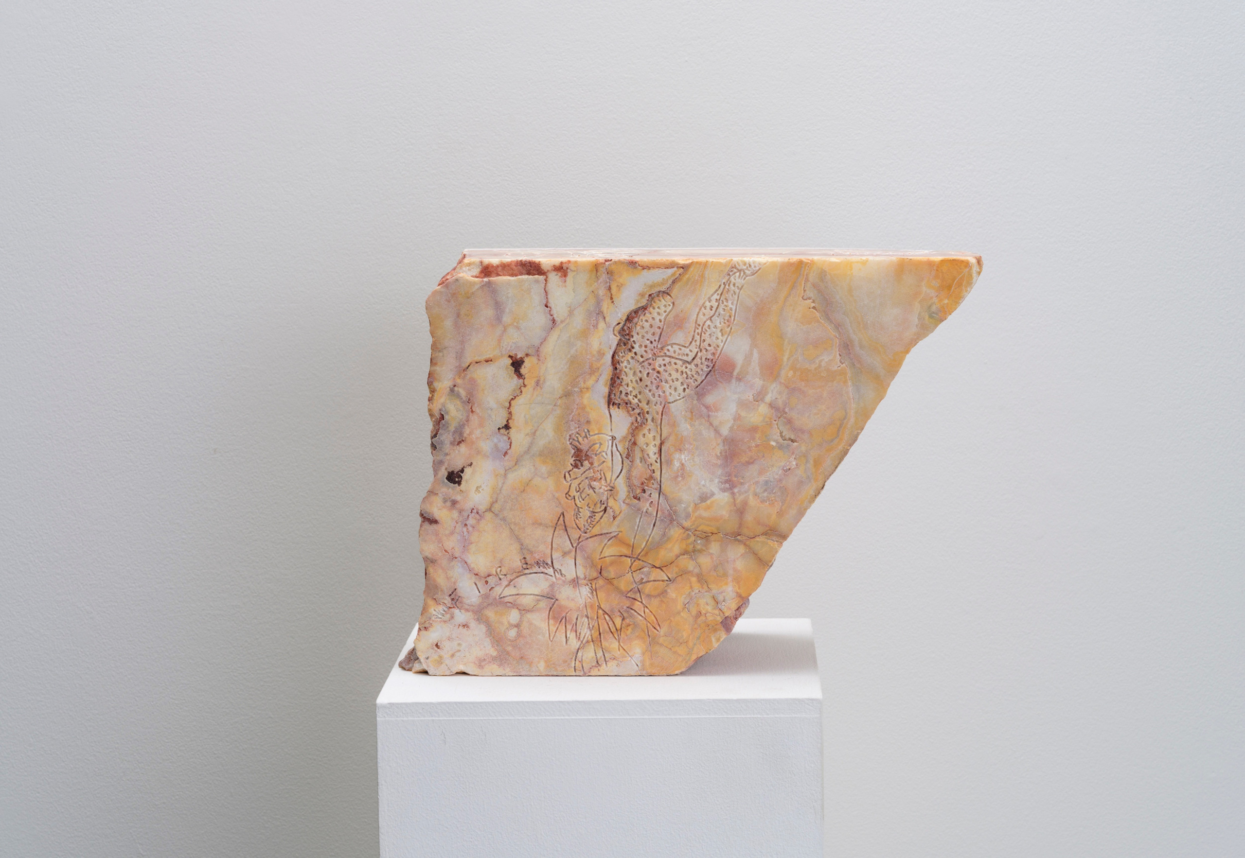 Jungle through the skin