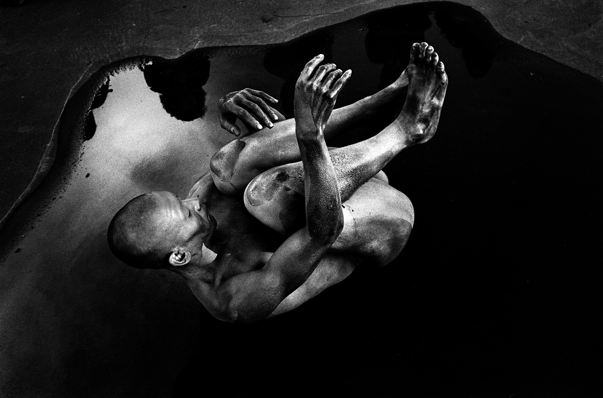 《Photosynthesis, Paris-4》