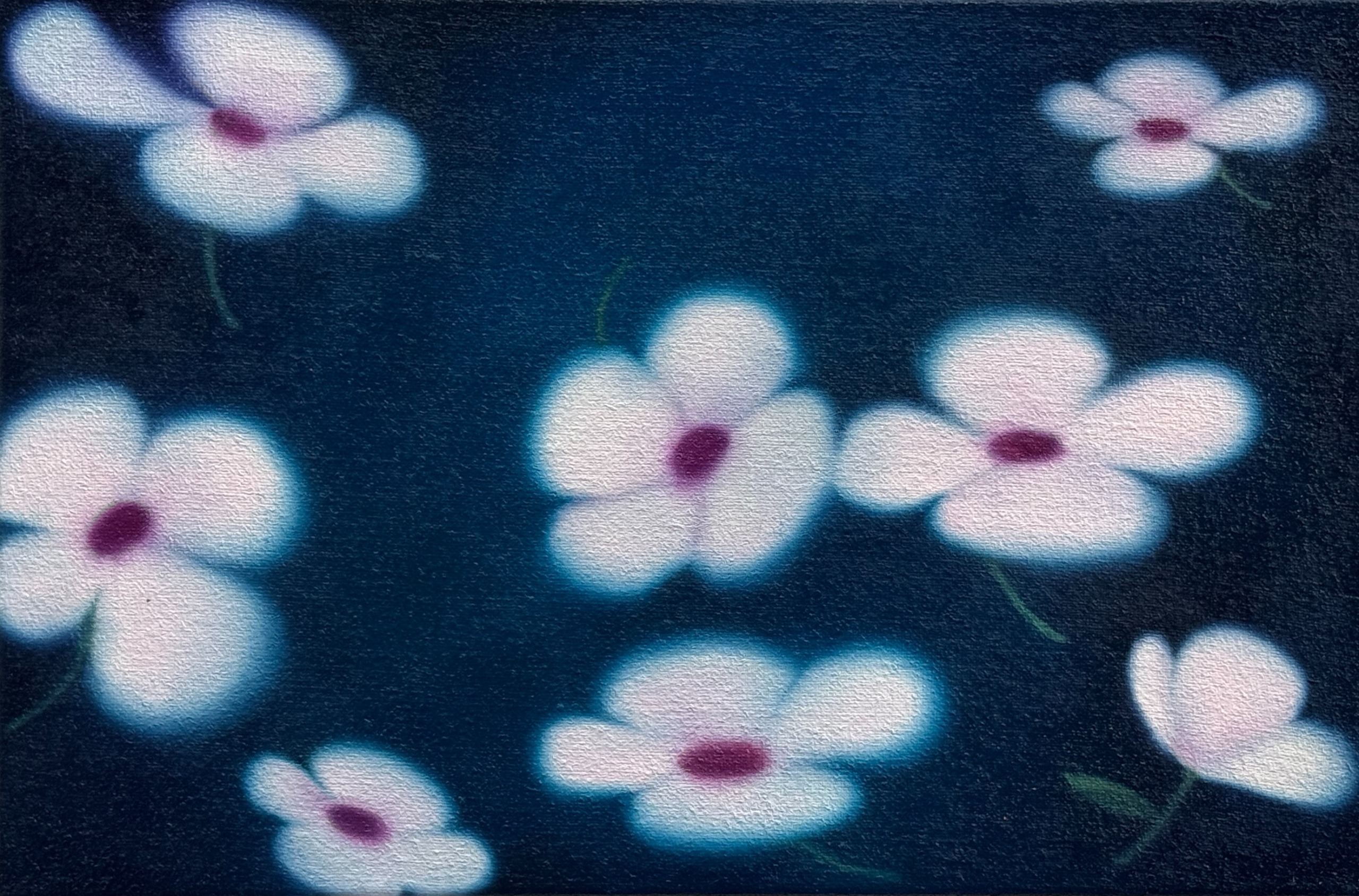 《Zephyr’s Flowers》