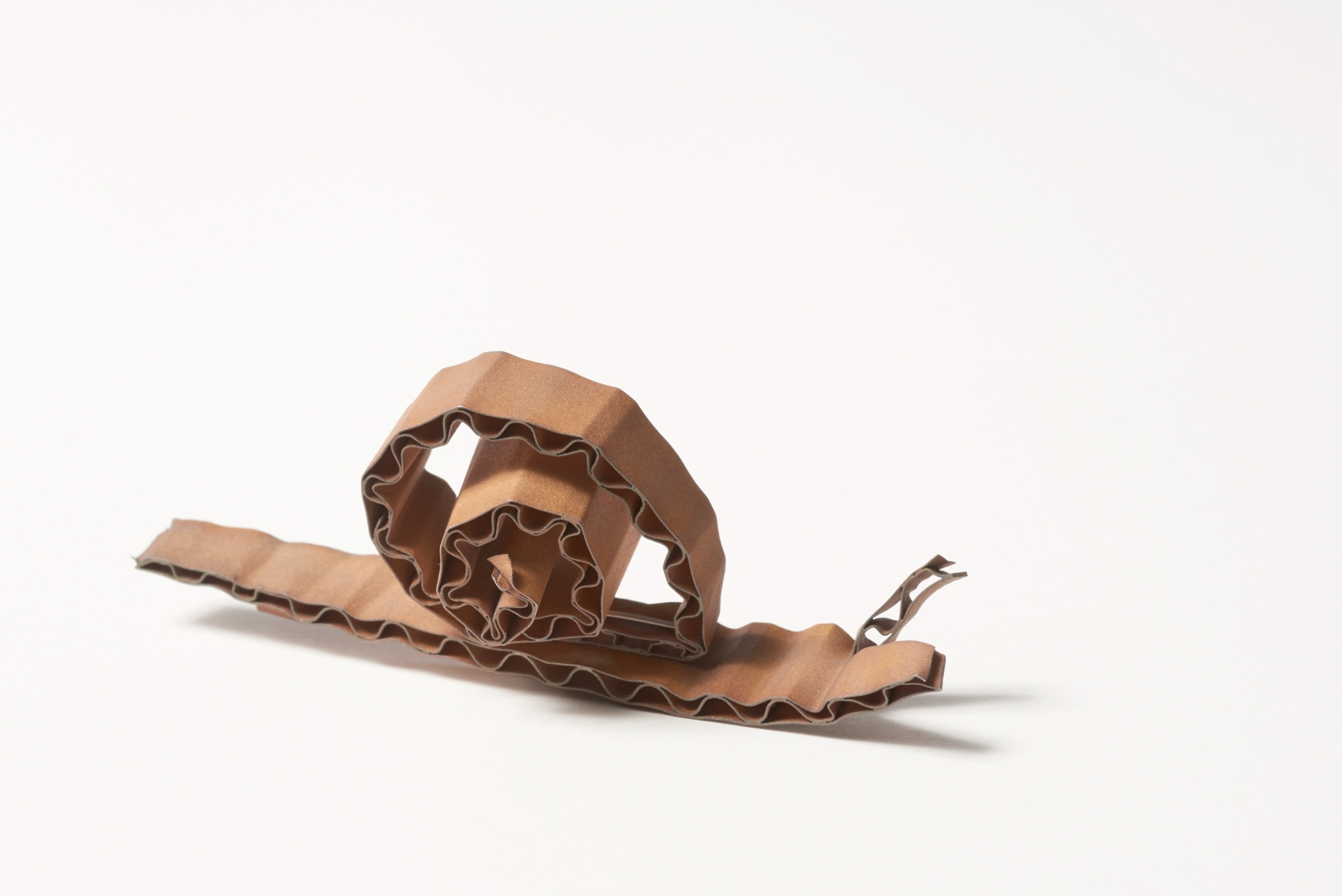 《Cardboard Little Snail》