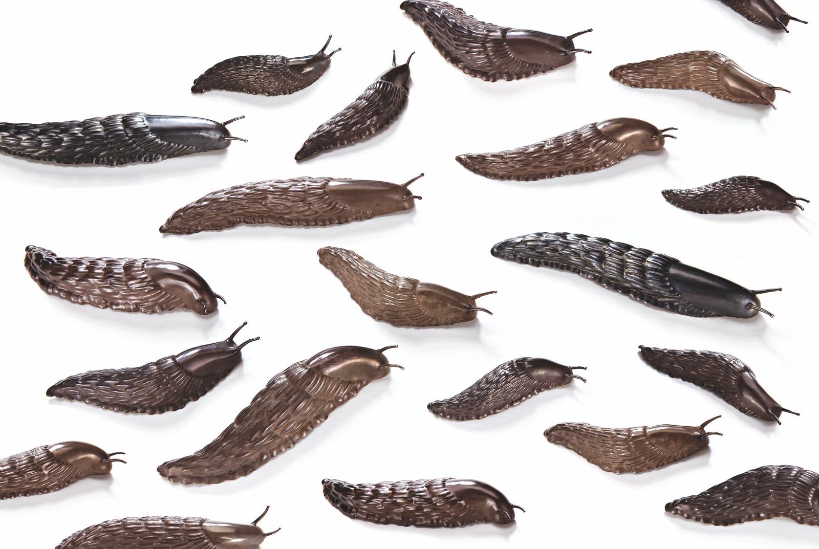 《Slugs》