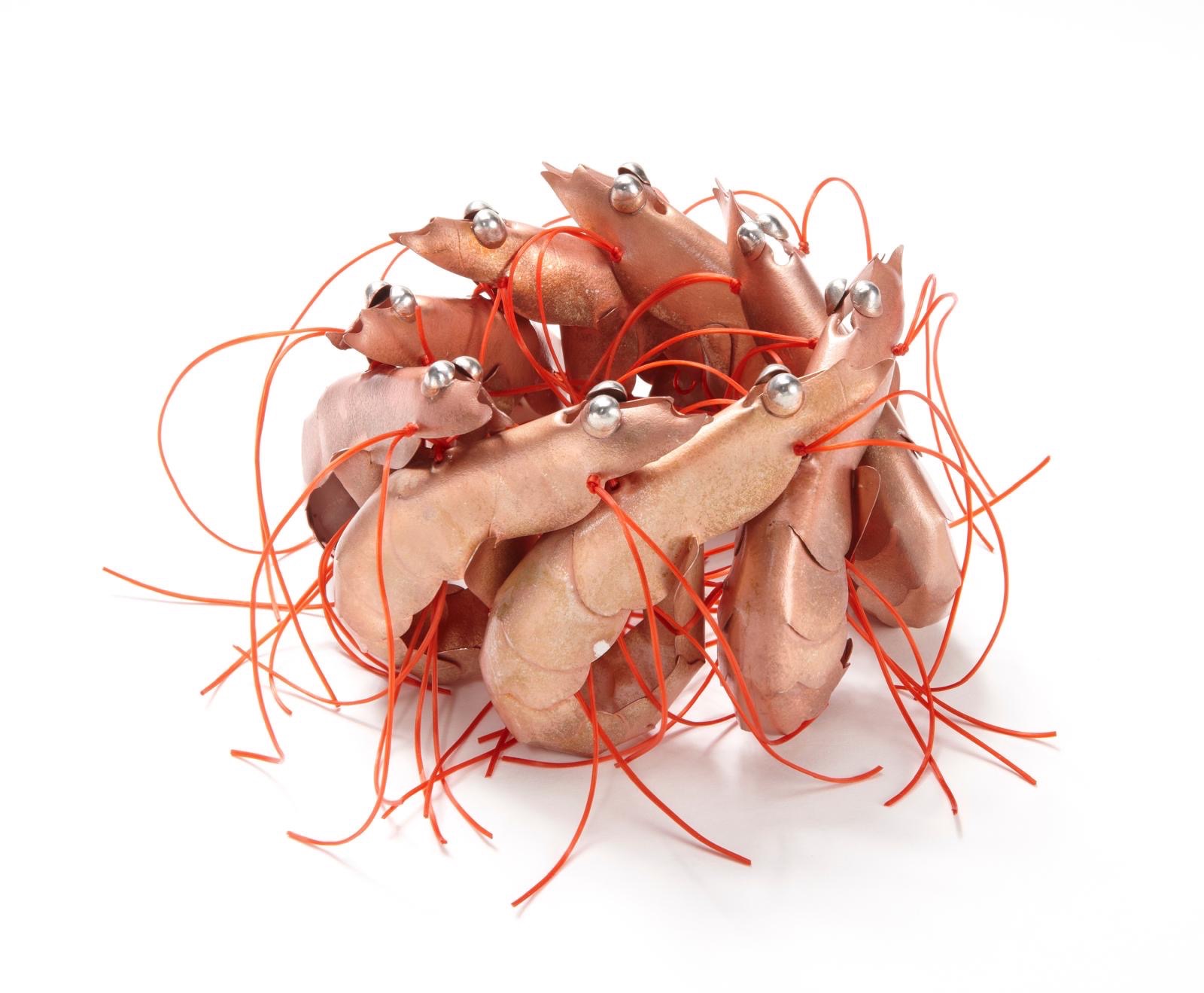 《Scampi》