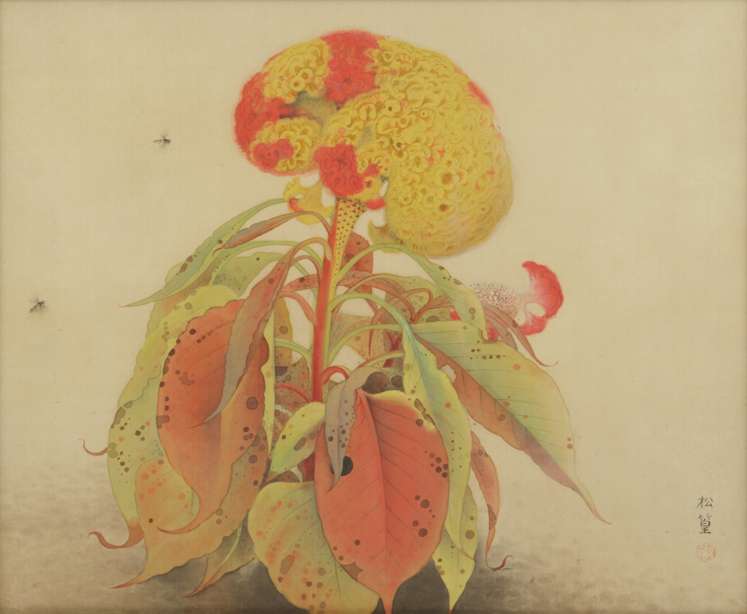 《鶏頭花》