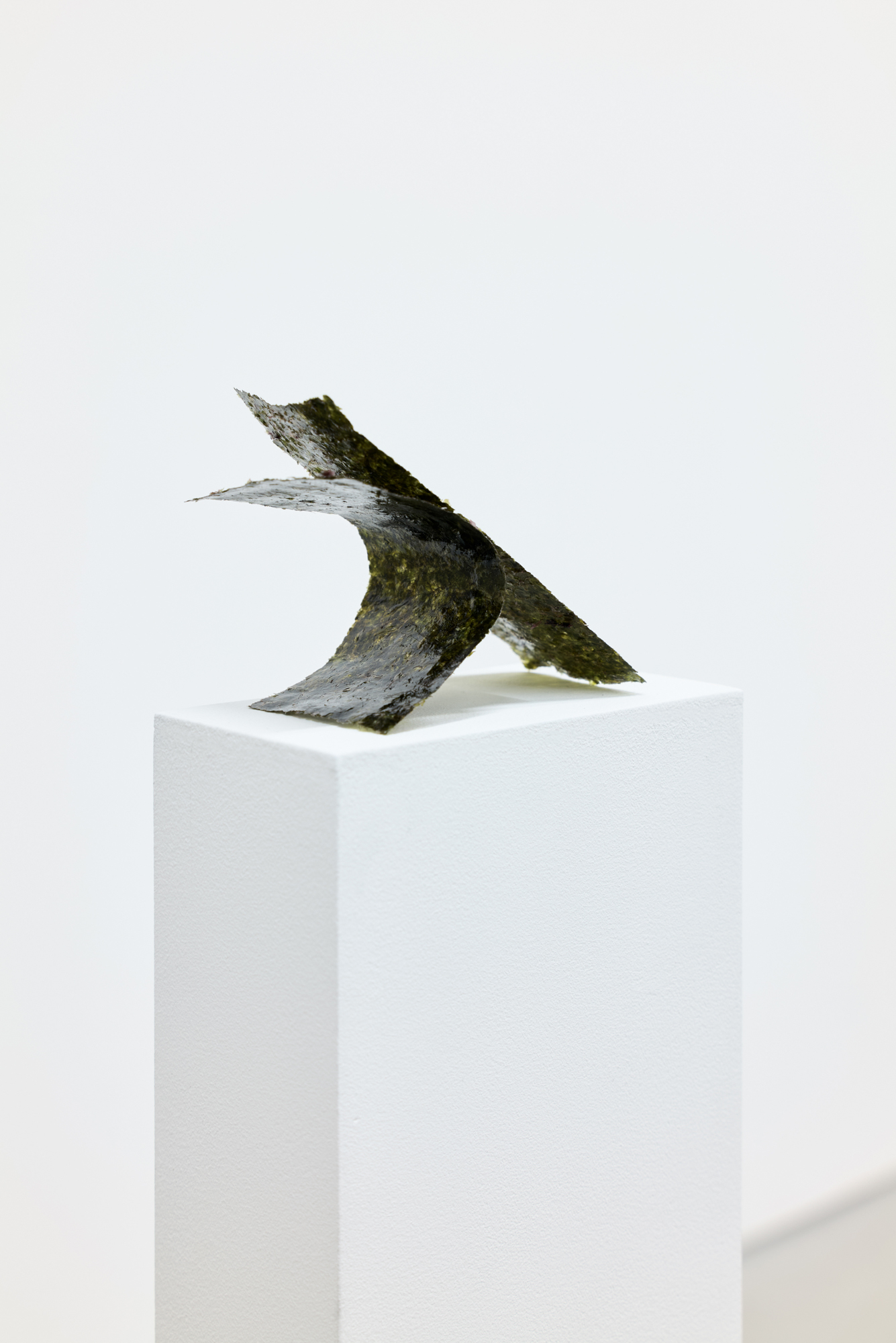 《Untitled(Seaweed)》