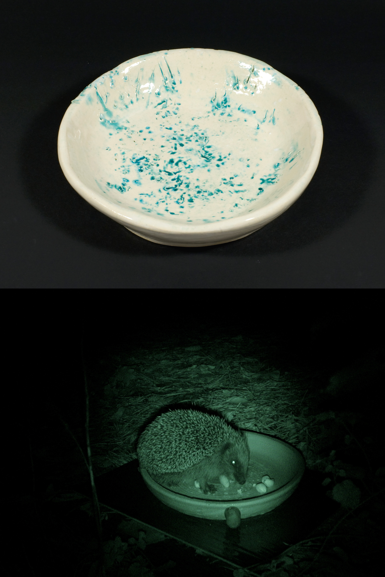 《Forest Dishes No.5》